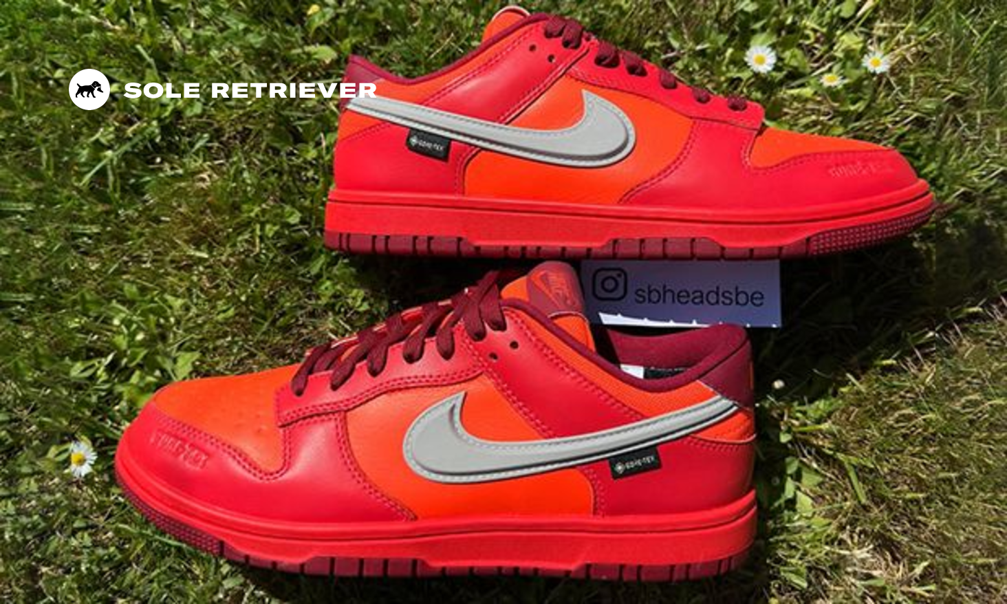 nike-dunk-low-gore-tex-light-