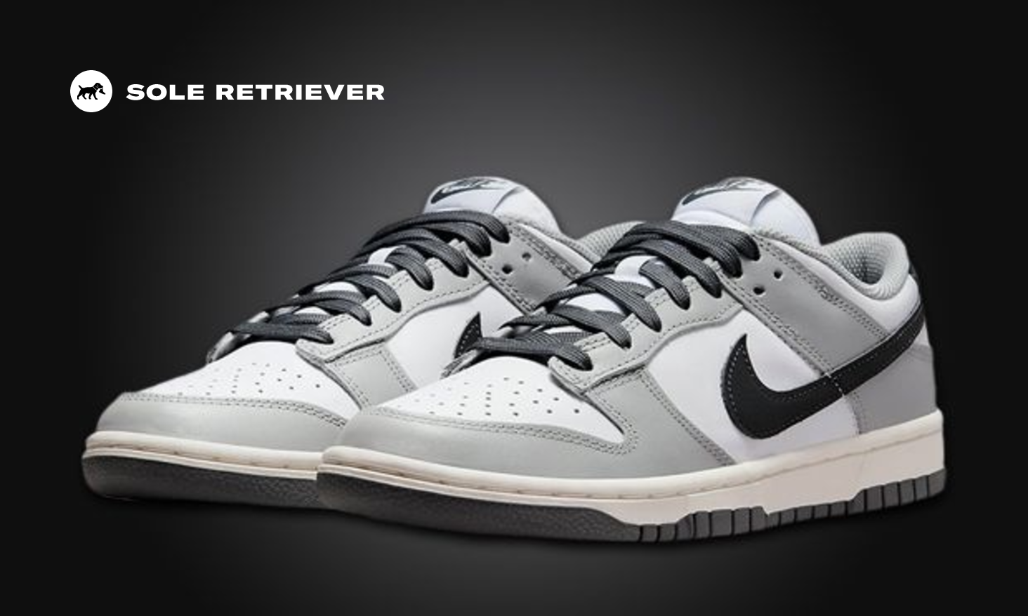 ☆人気☆【NIKE】☆(W) Nike Dunk Low Light Smoke Gre.y☆ Women's Dunk Low 'Light Smoke Grey and Photon Dust' (FB7720