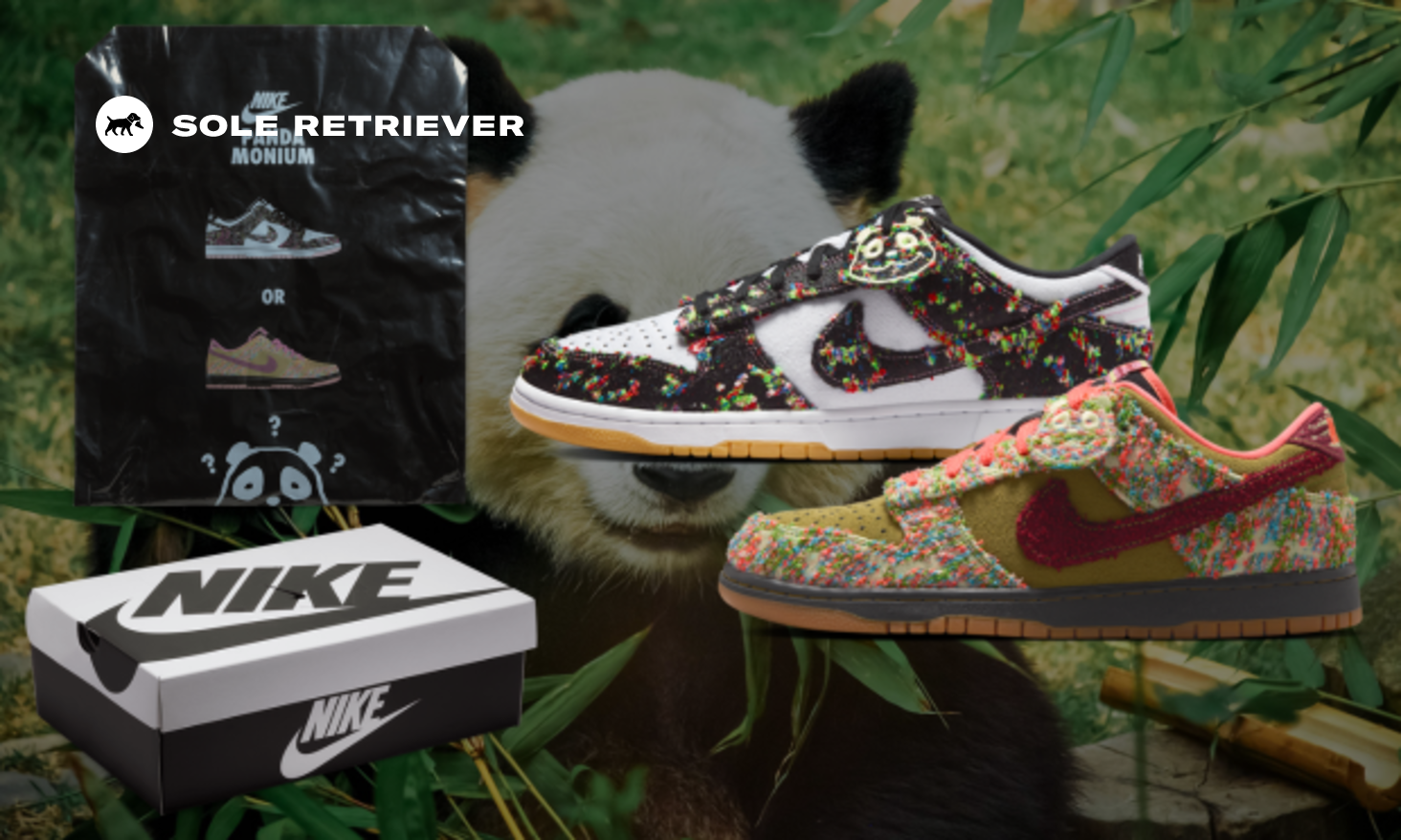 Nike Employs a Blind Box Release with The Upcoming Dunk Low Panda