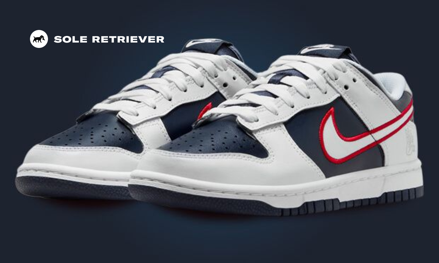 nike-dunk-low-premium-houston-