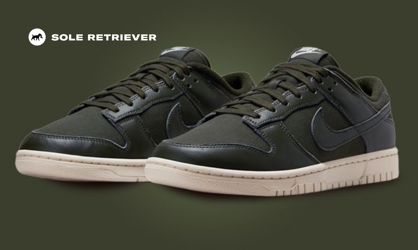 Official Look At The Nike Dunk Low Premium Sequoia Light