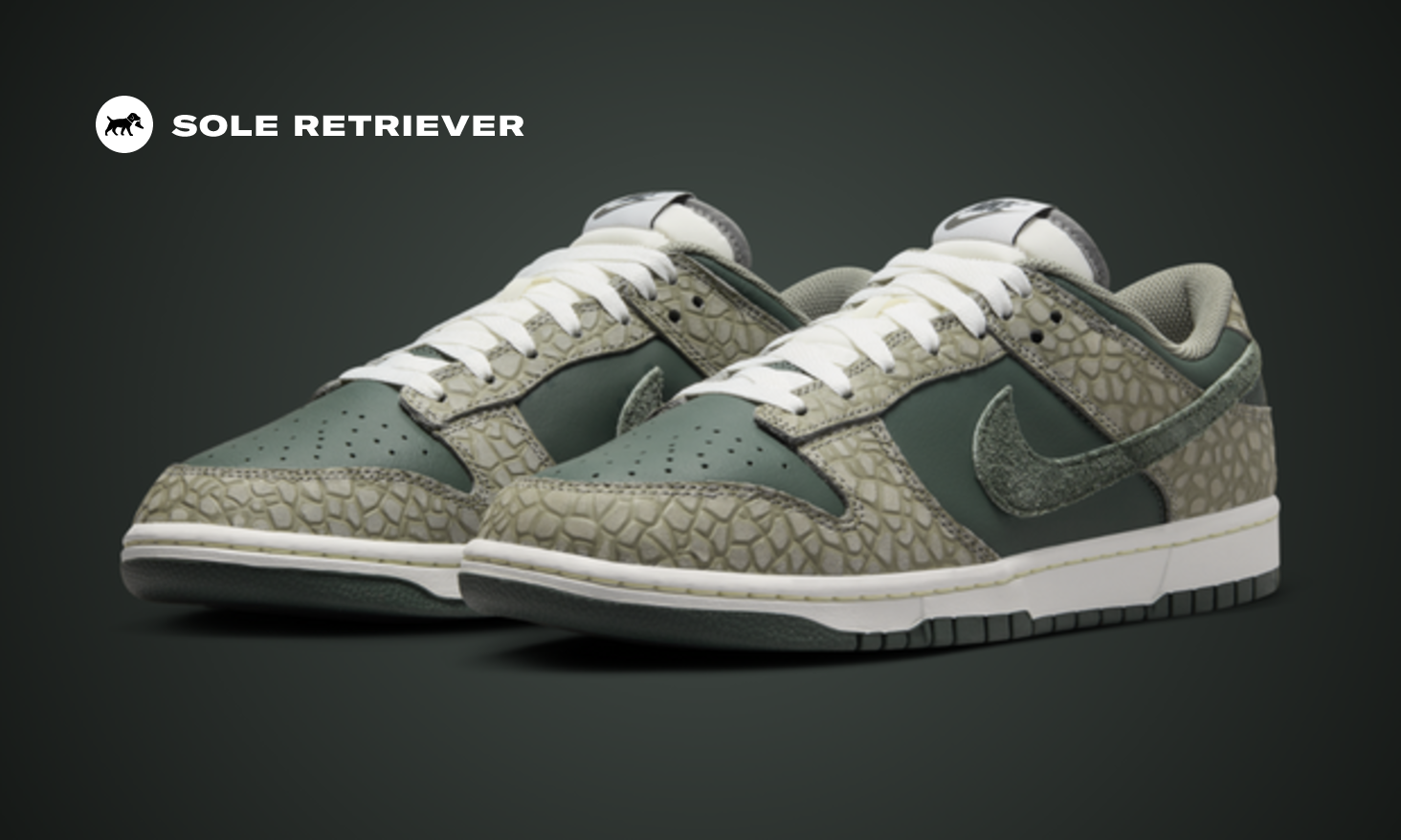 未使用 NIKE DUNK LOW RETRO PRM HF4878-053 Nike Dunk Low Retro PRM Stucco Vintage Green (HF4878 053