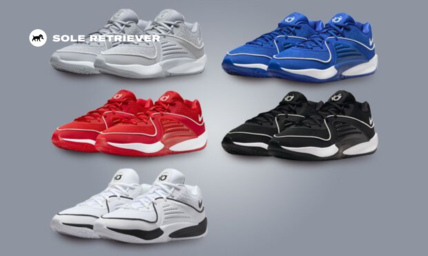 【30cm】NIKE KD16 Nike Unisex KD16 Basketball Shoes | SportChek