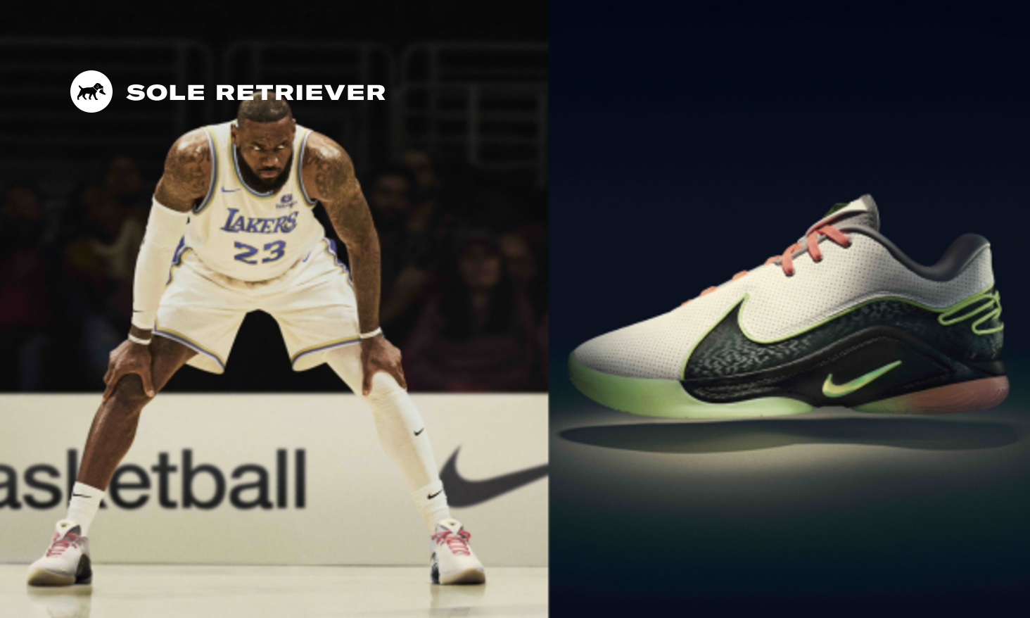 レブロン　lebron james FZ1095-001 Nike LeBron 22 Tunnel Vision FZ1094-001 (Men's