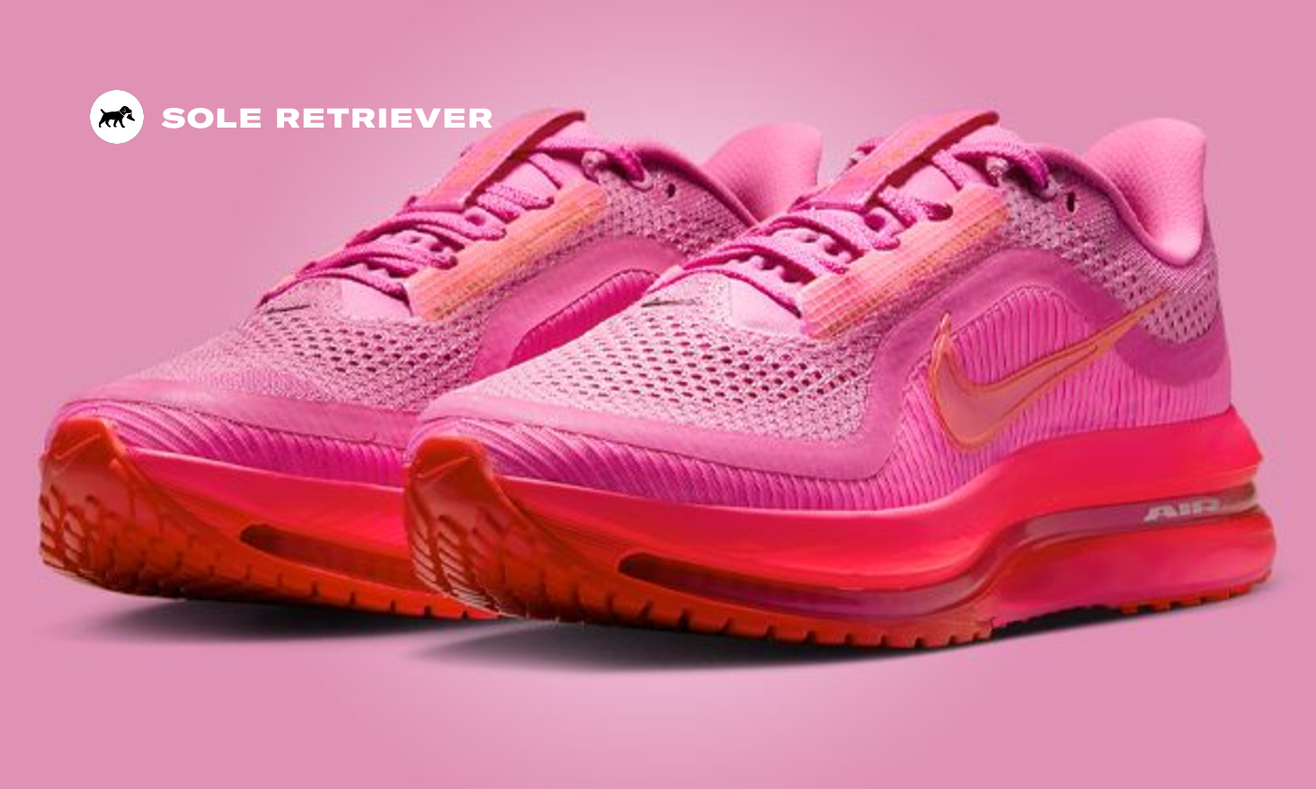 最安値‼️‼️WORLD PEGASUS ピンク AURORA_FZ1626-500_PHSRH000-