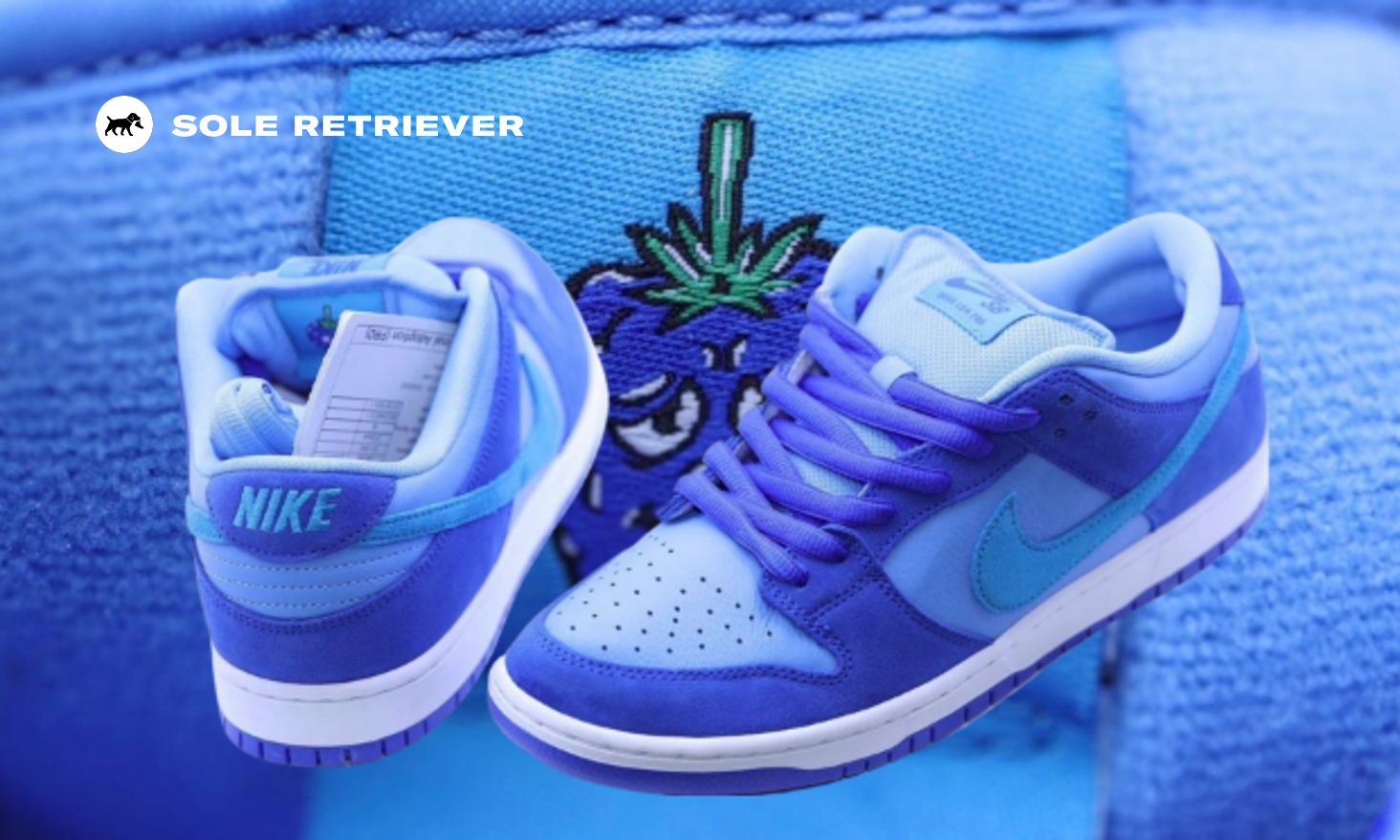nike-sb-dunk-low-blueberry-