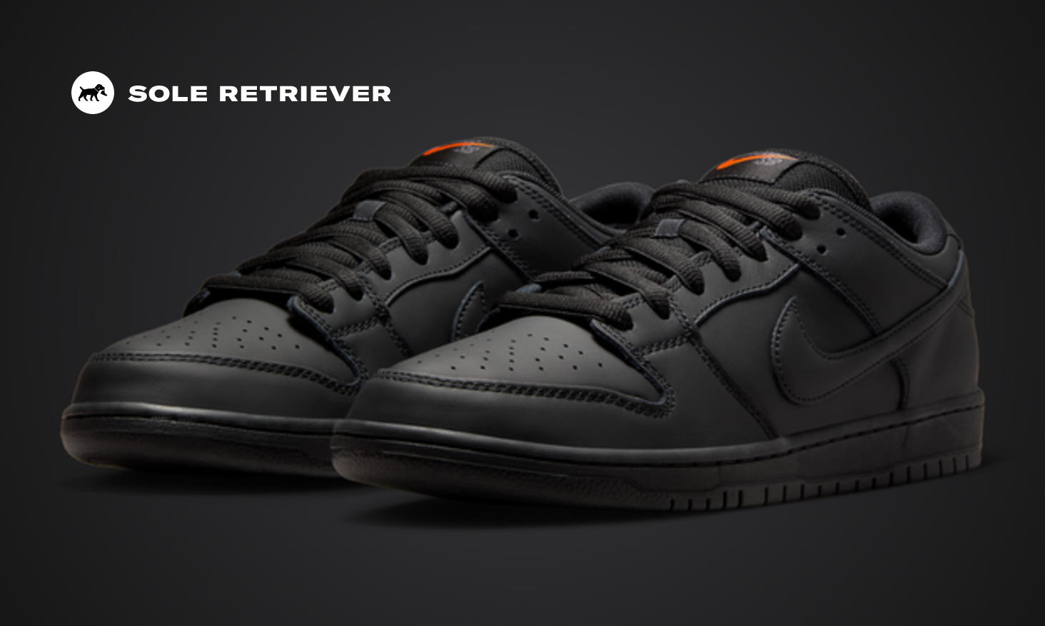 靴 Nike SB Dunk Low Pro ISO \