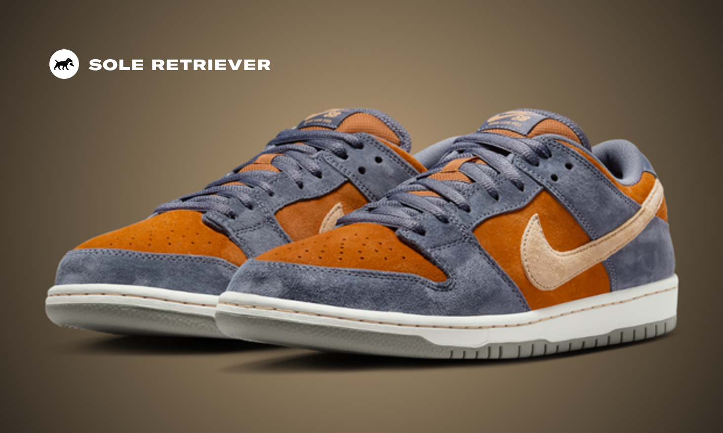 nike-sb-dunk-low-light-carbon-