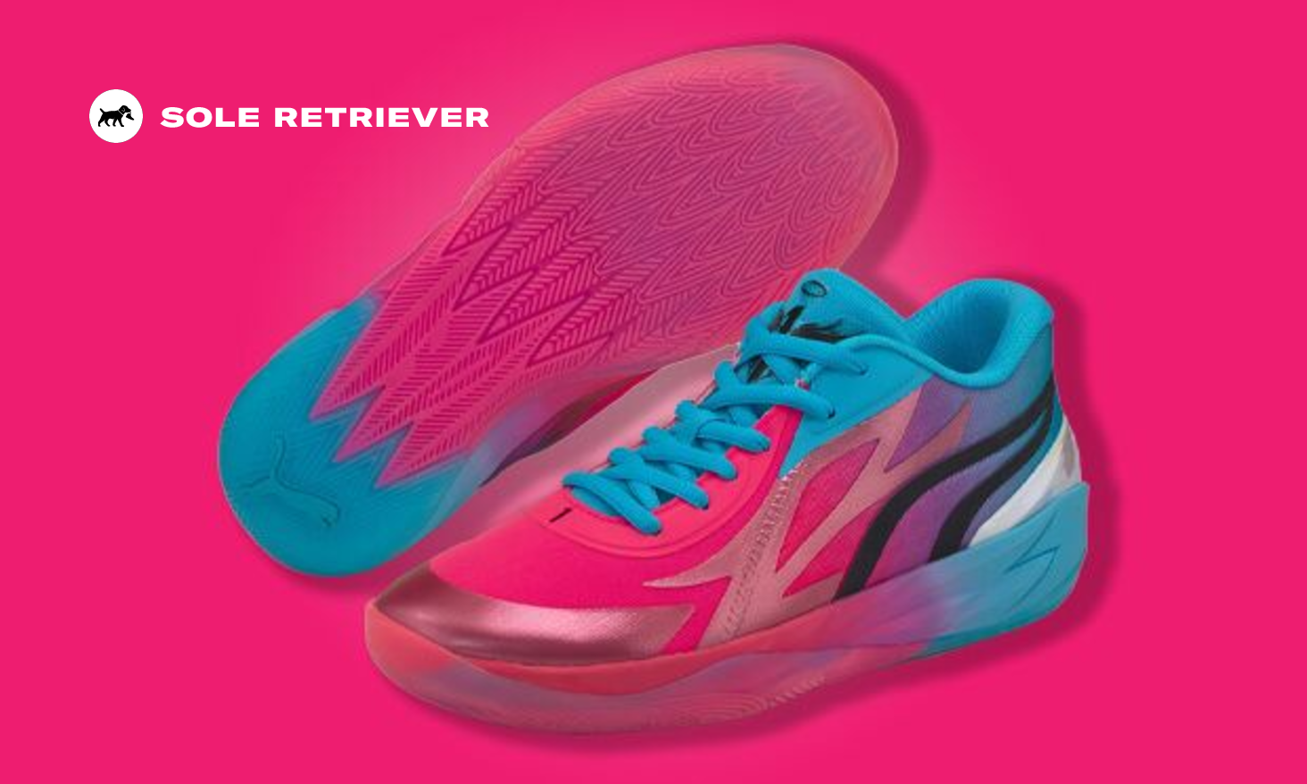 Puma Cat Logo And Stronger Together Print