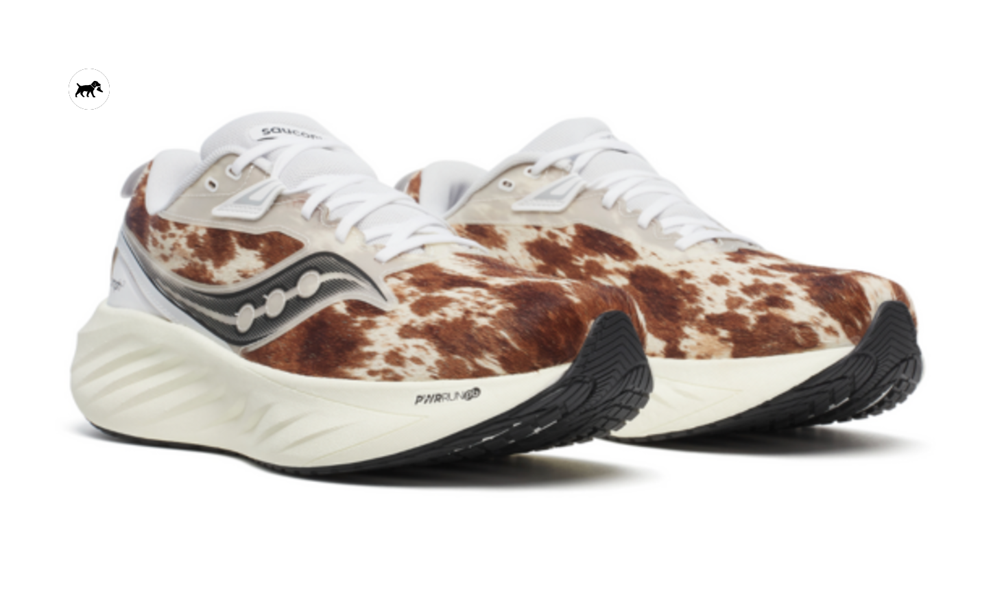 saucony-triumph-22-brindle-