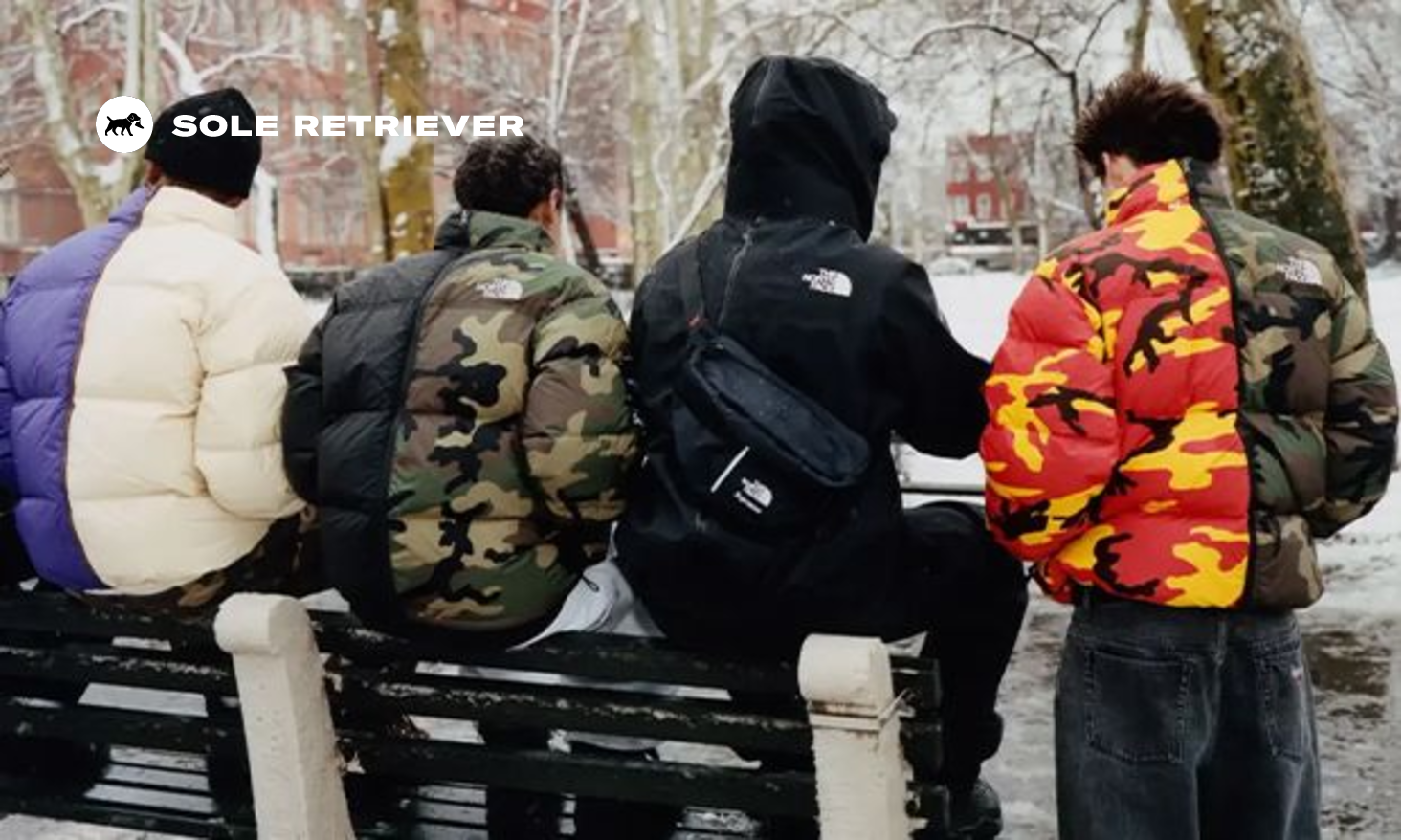 tnf-supreme-2024ss-05.webp?