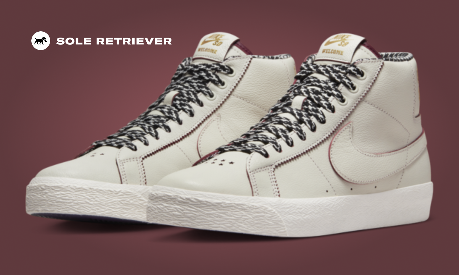 welcome-skateboarding-nike-sb-