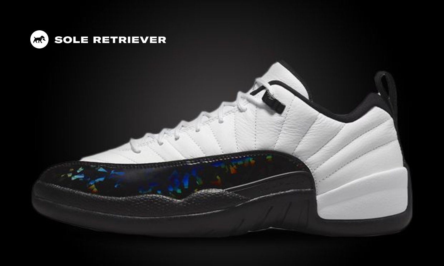 断捨離中Air Jordan 12 断捨離中Air Jordan 12 - メルカリ