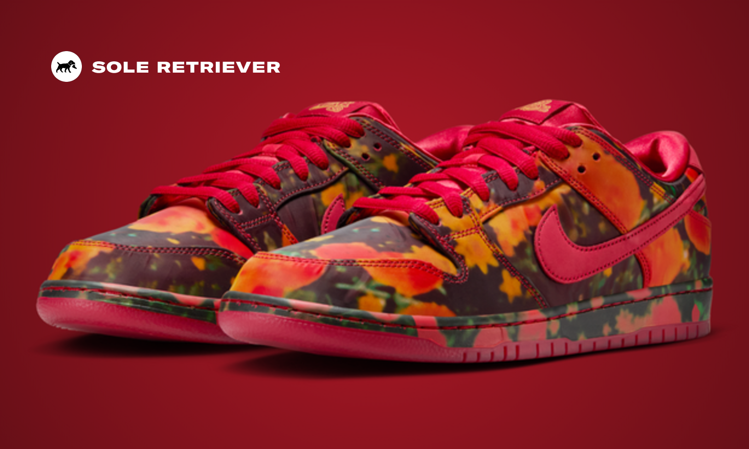 wizard-of-oz-nike-sb-dunk-low-