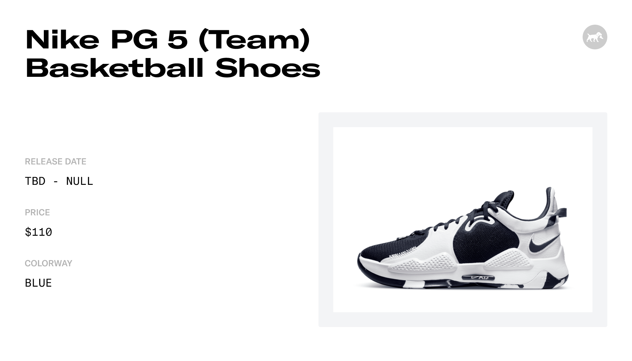pg 5 team basketball shoes