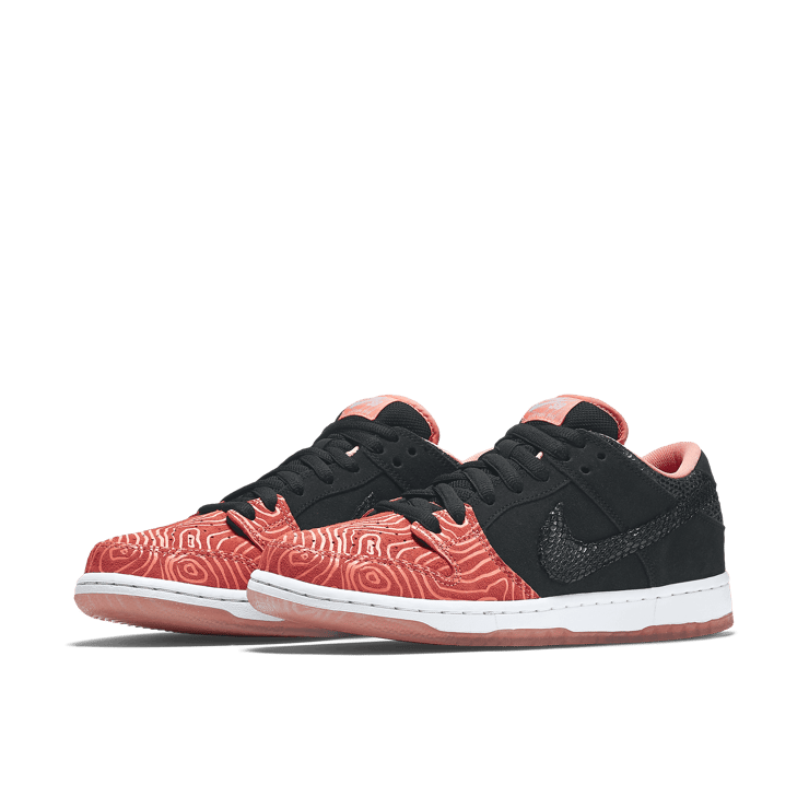 Nike SB Dunk Low Premier Fish Ladder Angle 2