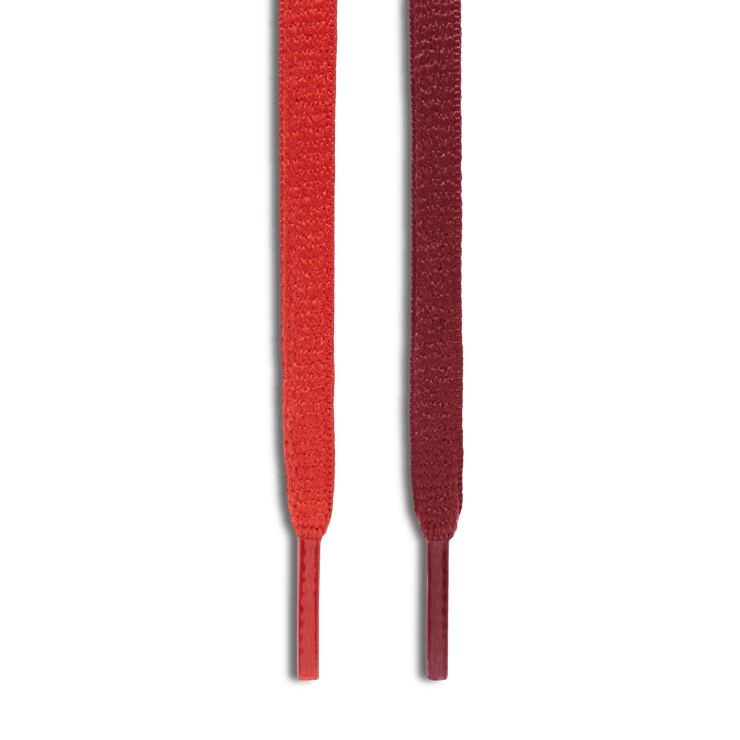 Nike SB Zoom Dunk Low Track Red Angle 4