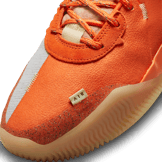 Nike Air Deldon WNBA Hoodie Angle 4