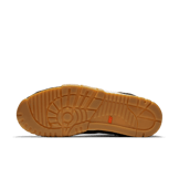 Nike SB Air Trainer 1 Polar Skate Co Angle 0