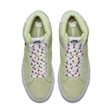 Nike SB Blazer Frog Skateboards Angle 1