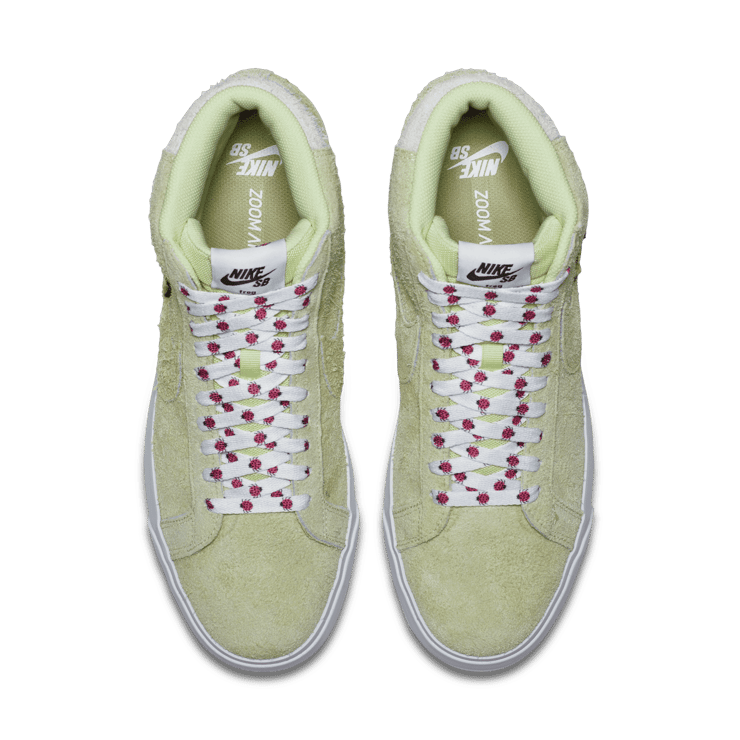 Nike SB Blazer Frog Skateboards Angle 1