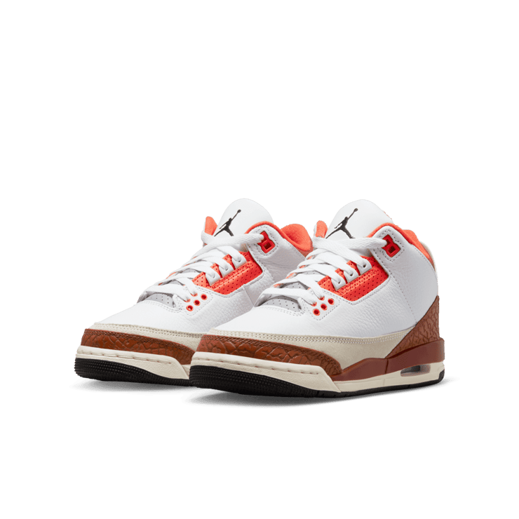 Air Jordan 3 SE Mars Stone (GS) Angle 2