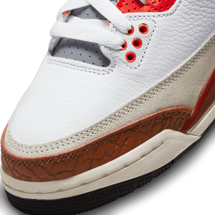 Air Jordan 3 SE Mars Stone (GS) Angle 4