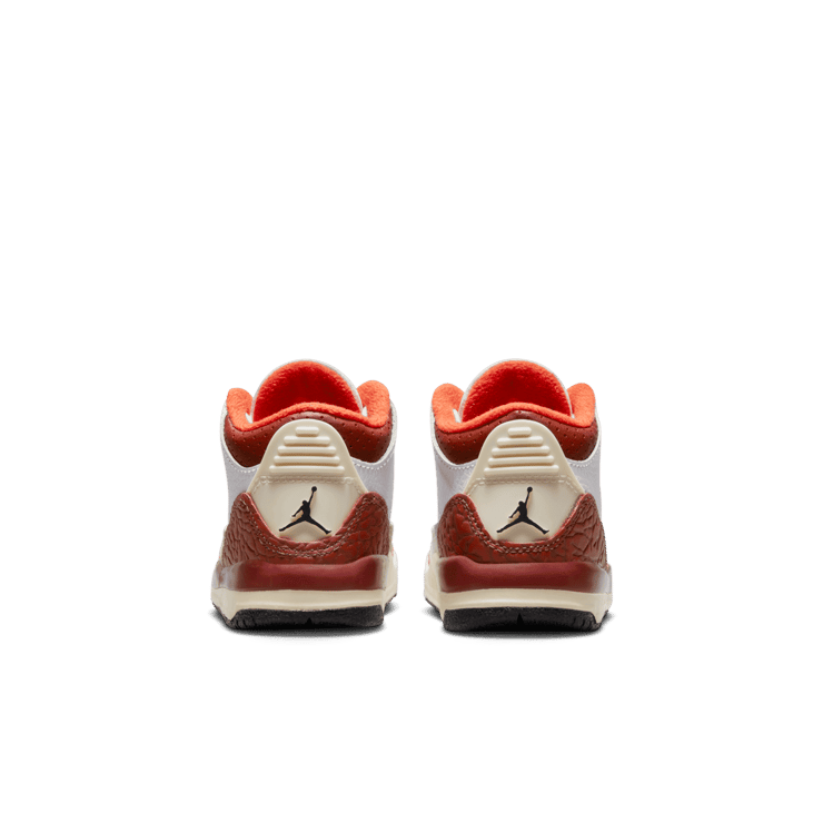 Air Jordan 3 Retro SE Mars Stone (TD) Angle 3