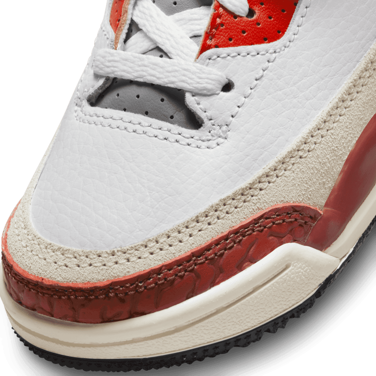 Air Jordan 3 Retro SE Mars Stone (TD) Angle 4