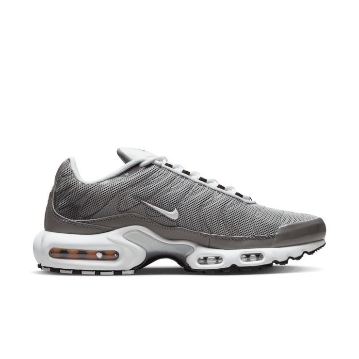 Nike Air Max Plus Flat Pewter Photon Dust Angle 1