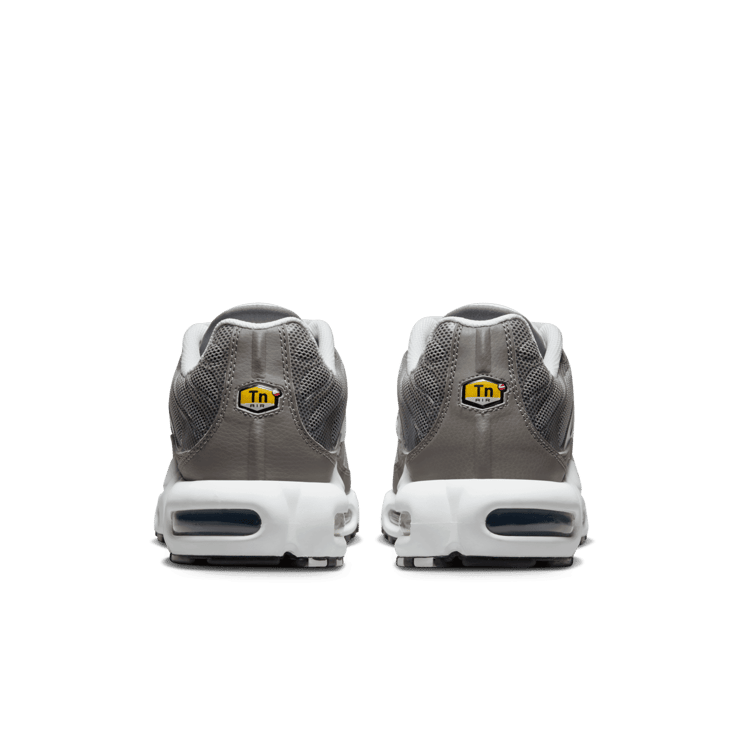 Nike Air Max Plus Flat Pewter Photon Dust Angle 4