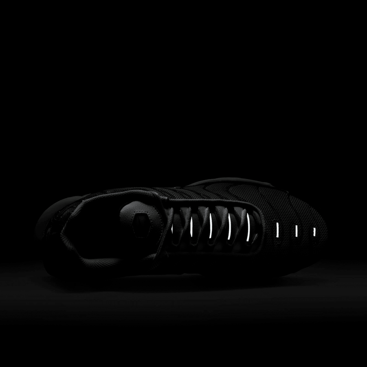 Nike Air Max Plus Flat Pewter Photon Dust Angle 7