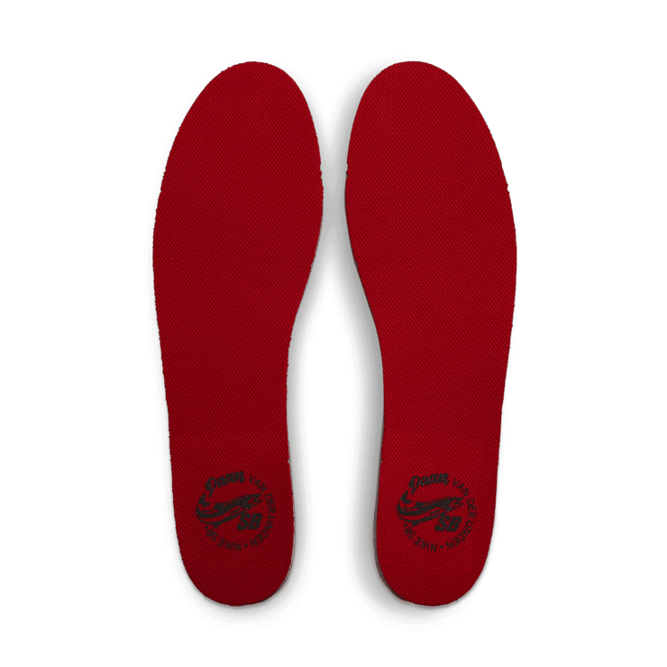 Nike SB Blazer Court Daan Van Der Linden Grain Angle 8