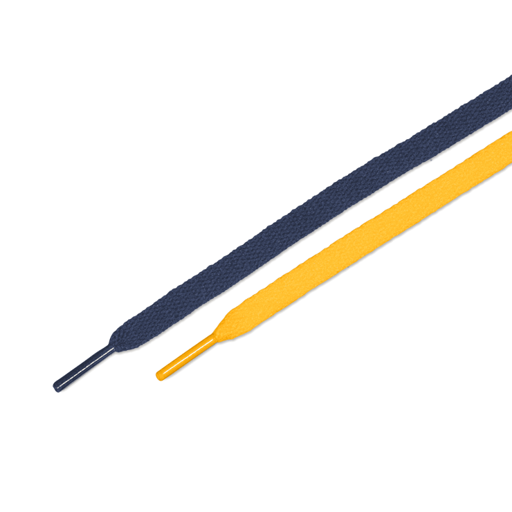 Nike SB Zoom Blazer Mid Michigan Angle 6