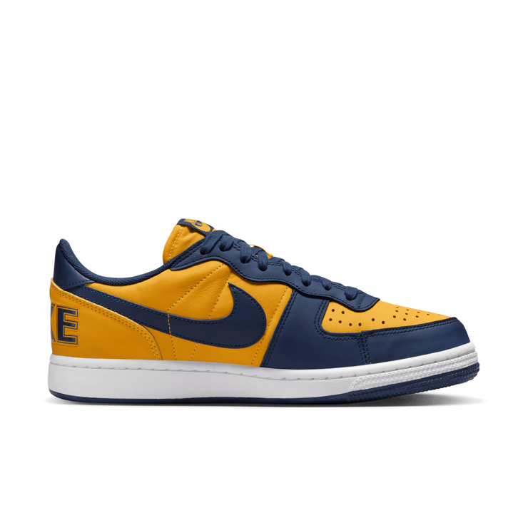 Nike Terminator Low OG Michigan Angle 1