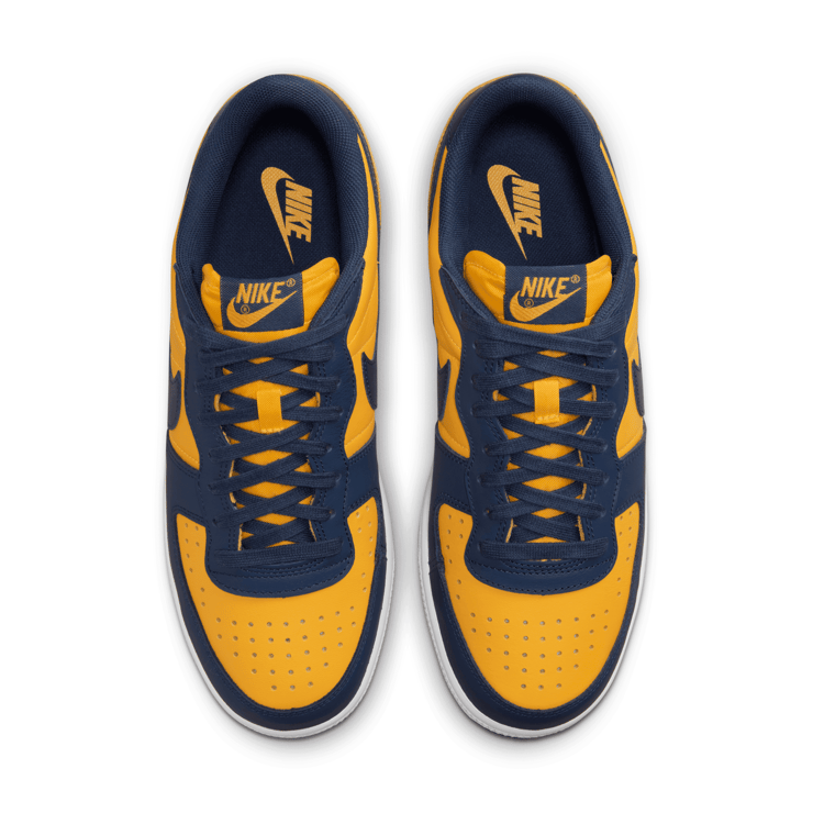 Nike Terminator Low OG Michigan Angle 2