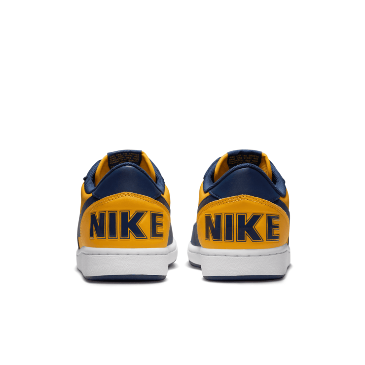 Nike Terminator Low OG Michigan Angle 4