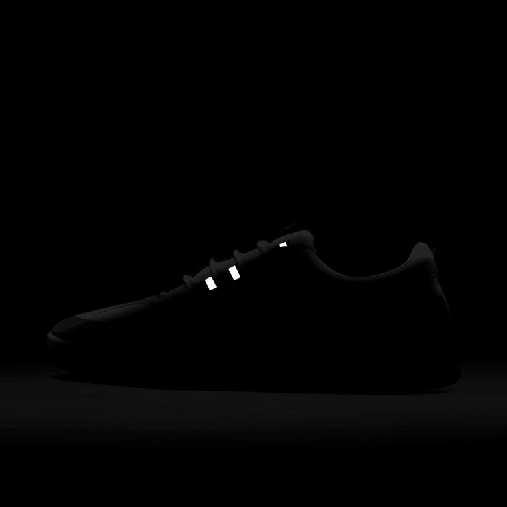 Nike SB Nyjah Free 2 Concord Angle 7
