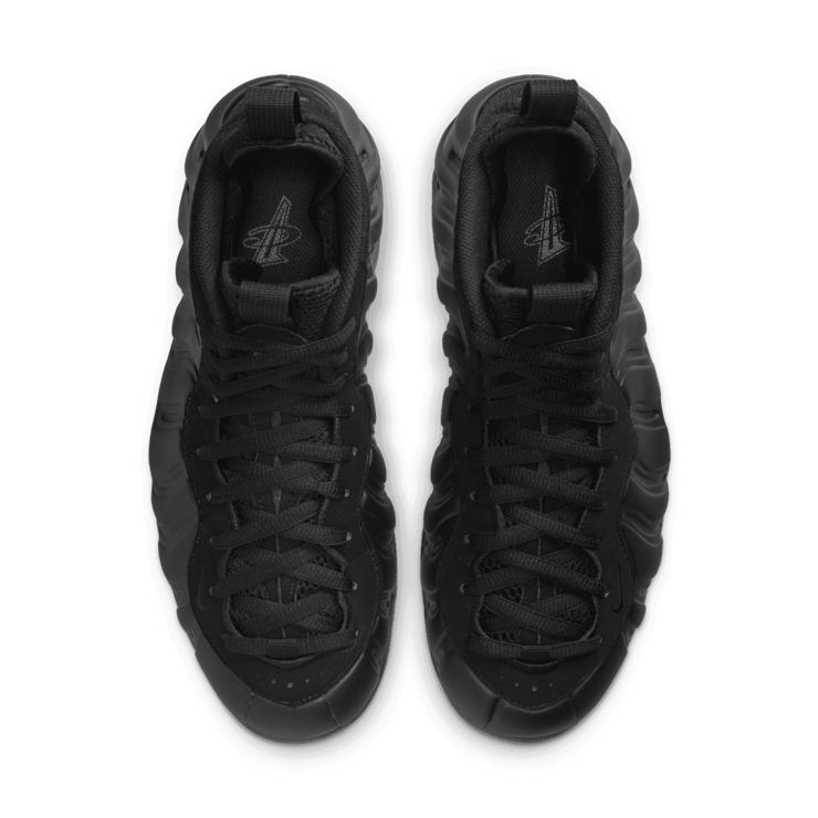 Nike Air Foamposite One Anthracite (2023) Angle 1