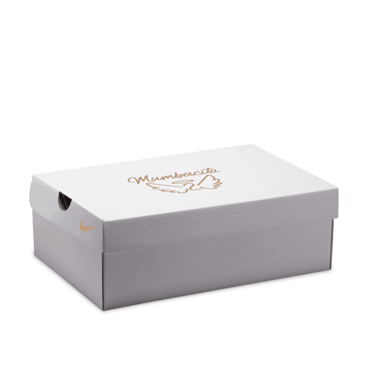 Nike Kobe 4 Protro Gigi Angle 8