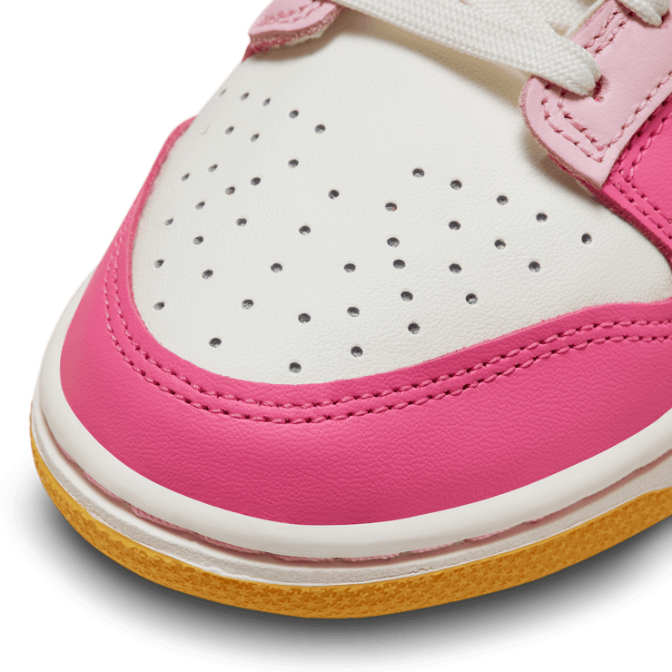 Nike Dunk Low Multi-Color (W) Angle 4