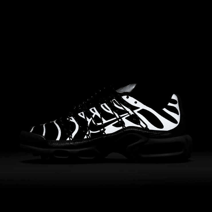 Nike Air Max Plus Toggle Metallic Silver (W) Angle 10