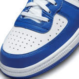 Nike Terminator High White Game Royal Angle 5