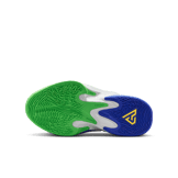 Nike Zoom Freak 4 Summer Vibes (GS) Angle 0