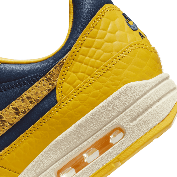 Nike Air Max 1 Premium CO.JP Michigan (W) Angle 5