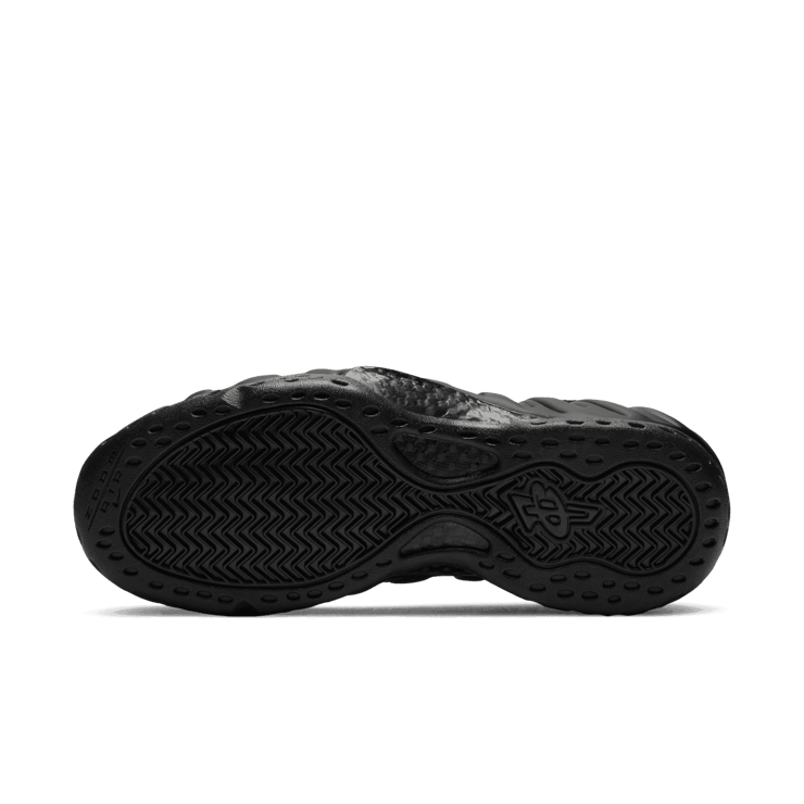 Nike Air Foamposite One Anthracite (2020) Angle 0