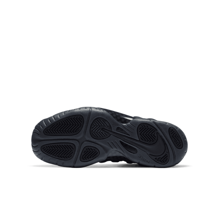 Nike Air Foamposite One Anthracite (2020) (GS) Angle 0