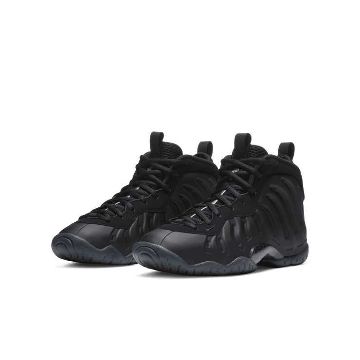 Nike Air Foamposite One Anthracite (2020) (GS) Angle 2