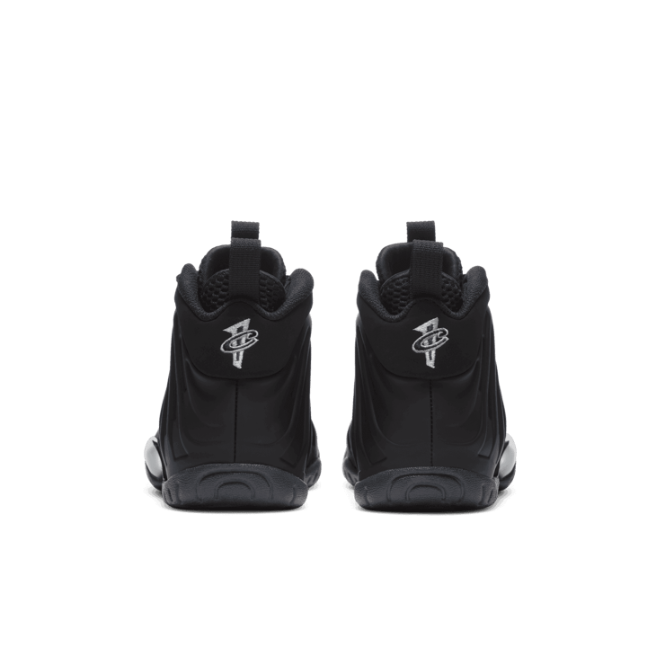 Nike Air Foamposite One Anthracite (2020) (GS) Angle 3