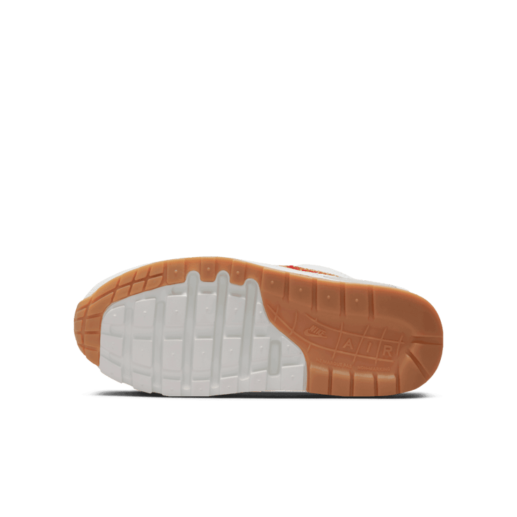 Nike Air Max 1 Premium SF The Bay (GS) Angle 0